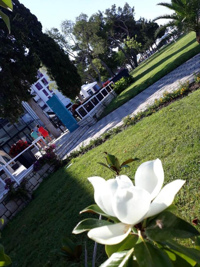 Apartments Star With Pool Biograd Na Moru Buitenkant foto