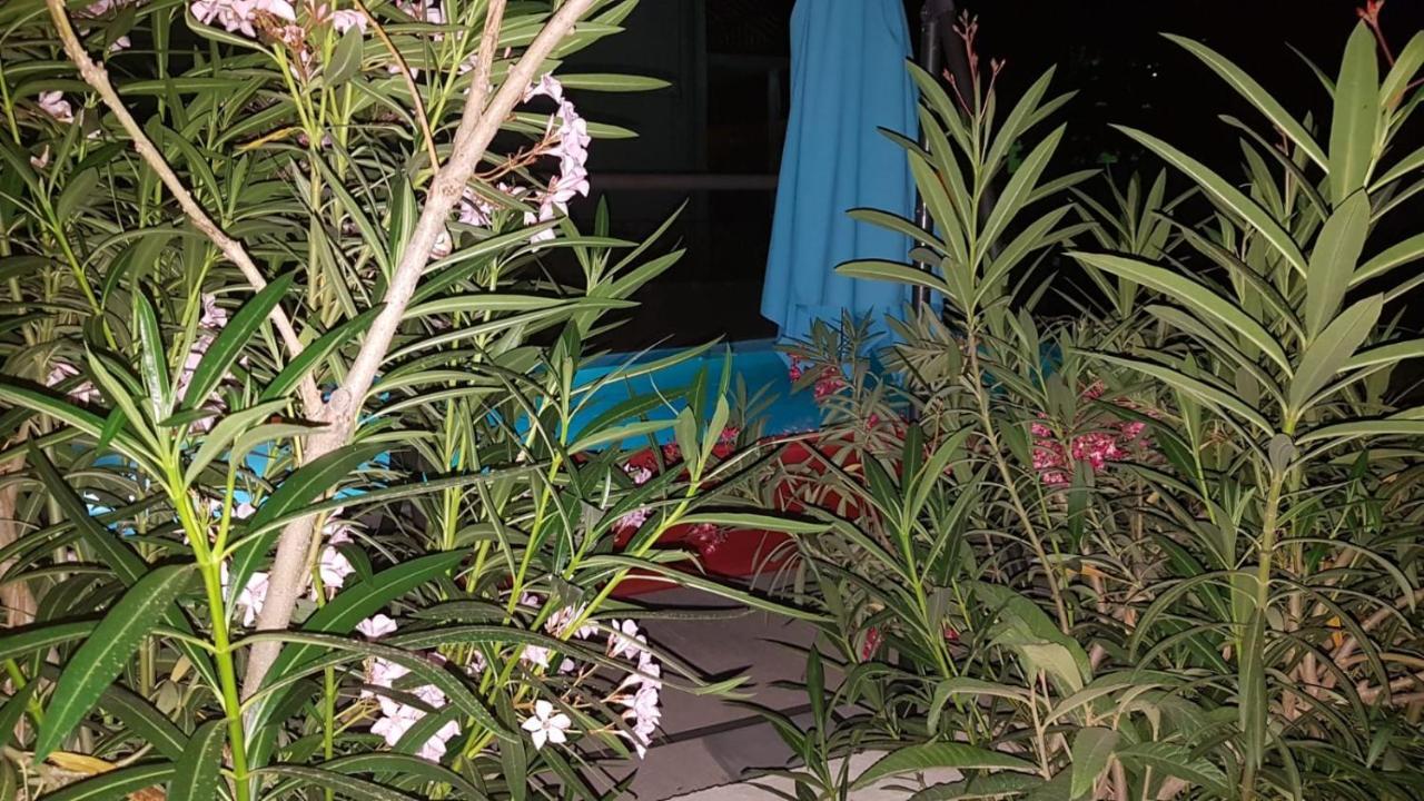 Apartments Star With Pool Biograd Na Moru Buitenkant foto